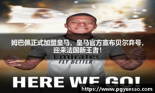 333体育官网