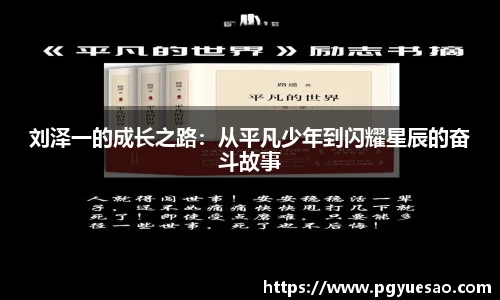 333体育app