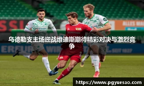 333体育官网