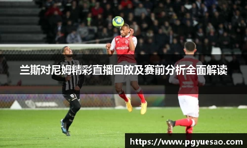 333体育官网