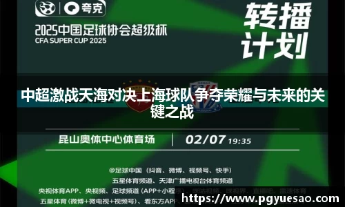 中超激战天海对决上海球队争夺荣耀与未来的关键之战