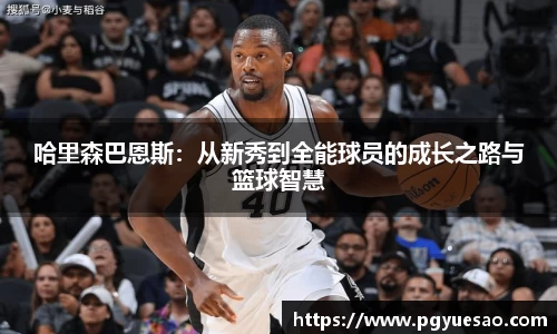 哈里森巴恩斯：从新秀到全能球员的成长之路与篮球智慧