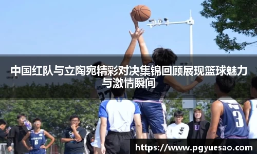 333体育