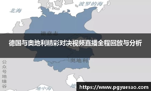 333体育官网