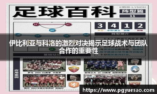 333体育