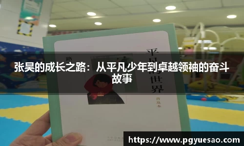 张昊的成长之路：从平凡少年到卓越领袖的奋斗故事