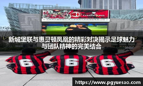 333体育官网