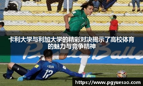 333体育