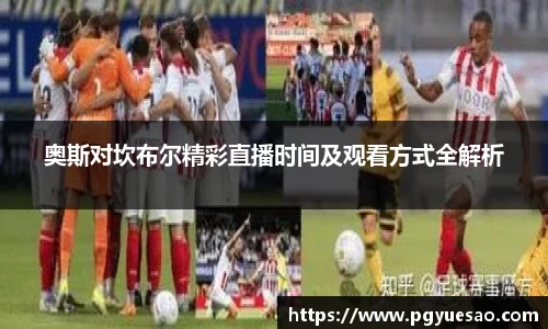 333体育官网